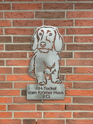 Rauhaar Teckel vom Kroemer Huss FCI